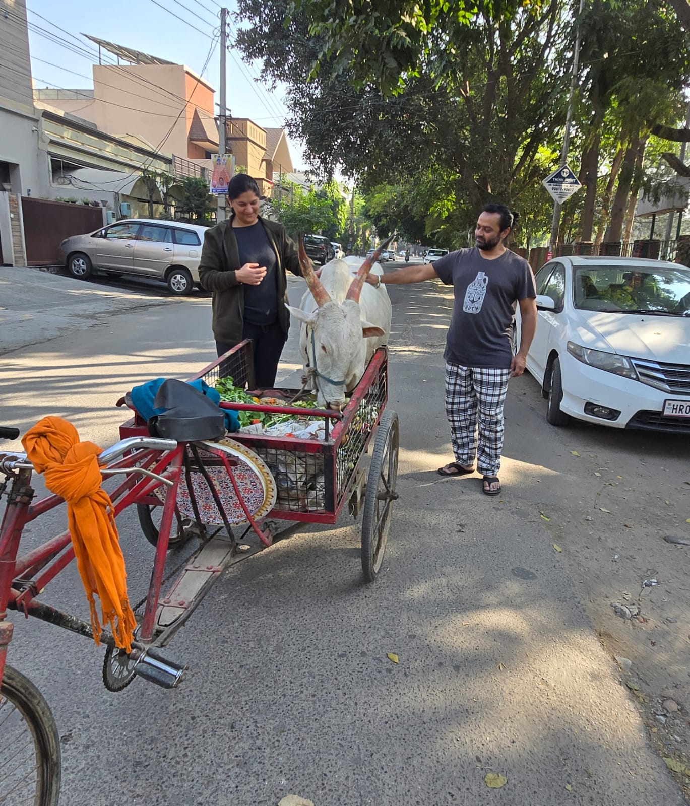 Yogz and Ruby petting the cow in front of Ruby's family home in Ludhiana